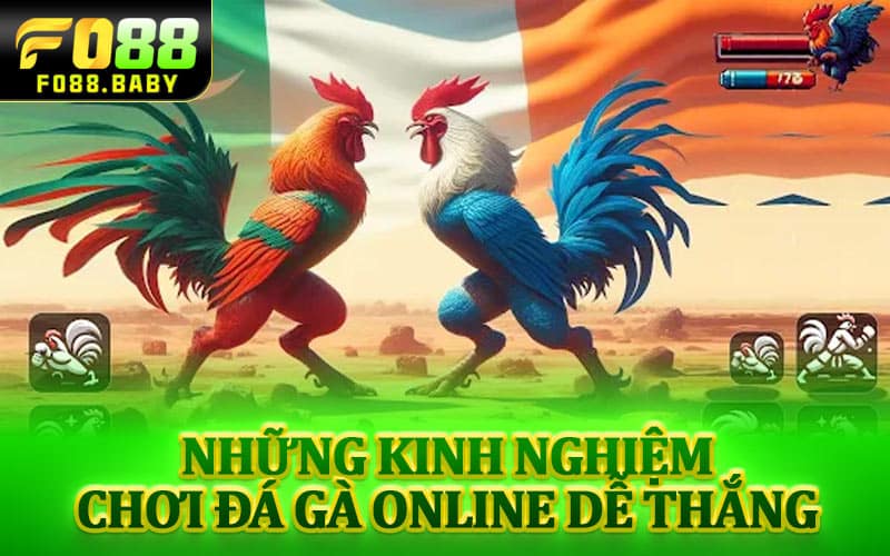 Những kinh nghiệm chơi đá gà online dễ thắng
