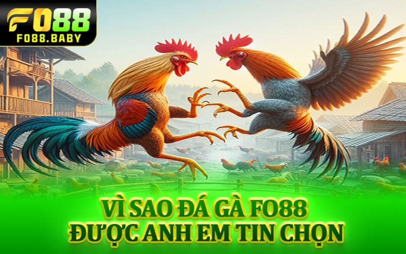 Vì sao Đá Gà Fo88 được anh em tin chọn